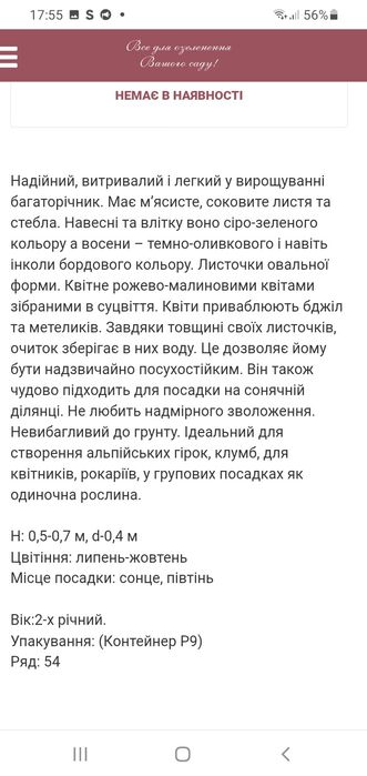 Очиток рожевий садовий
