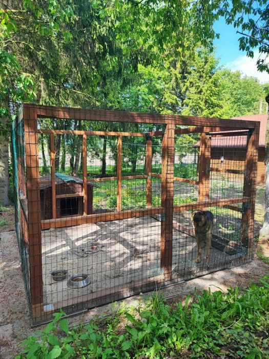 Kojec dla psa cena zależna od wielkości