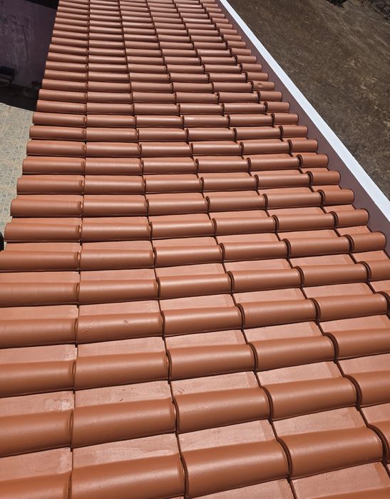 Limpeza Telhados/Reparação de infiltrações/Isolamentos todo o tipo / Pinturas Gerais/Remodelações