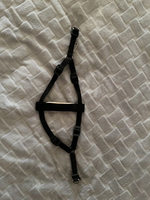 Шлейка для собаки