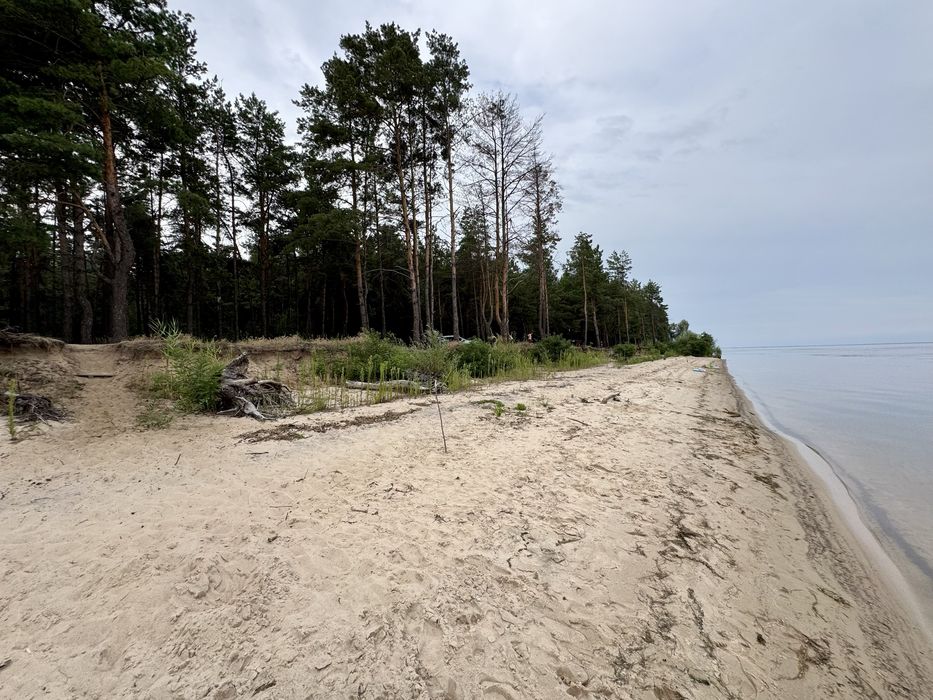 Продаж ділянки від 40 соток до 10Га. с. Ясногородка Киівська область