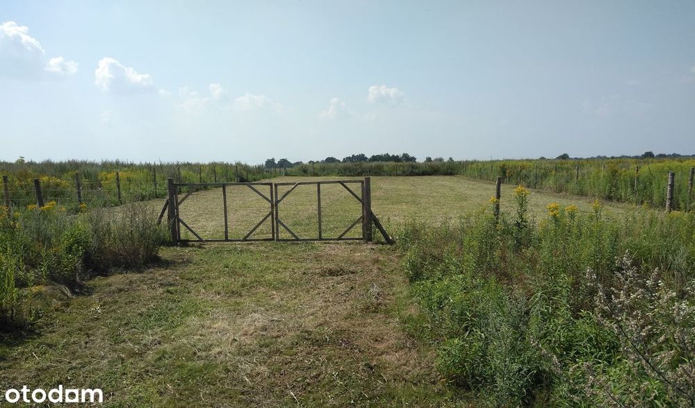 Sprzedam działkę budowlaną 1244 m², Kębłowice, ul. Szybowcowa