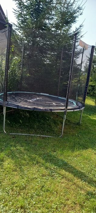 Trampolina Zippo Fitness
