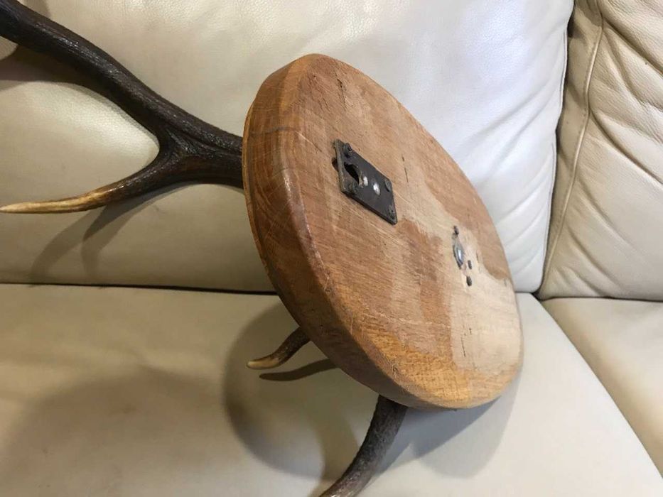 Рога оленя основа дуб