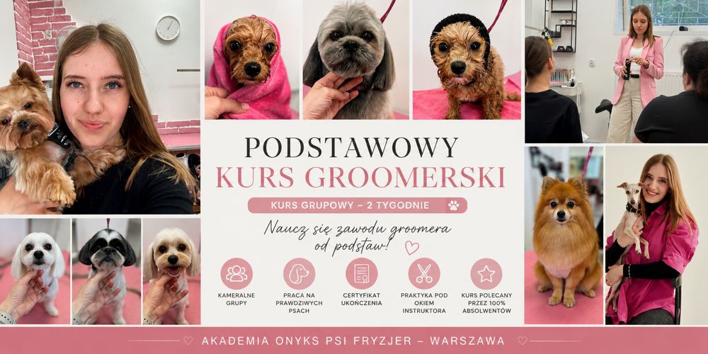 Podstawowy kurs groomerski / kurs groomingu / kurs pielęgnacji psów