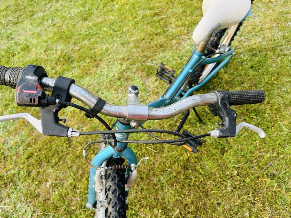 Rower Giant Taffy 20