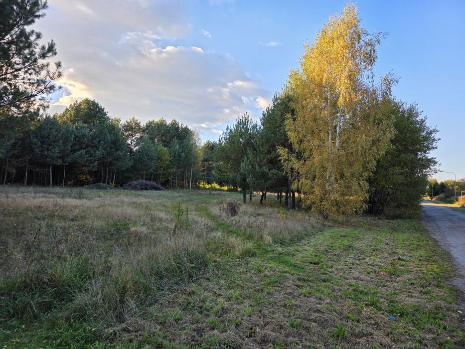 Działka budowlana w Bukowcu 95-006