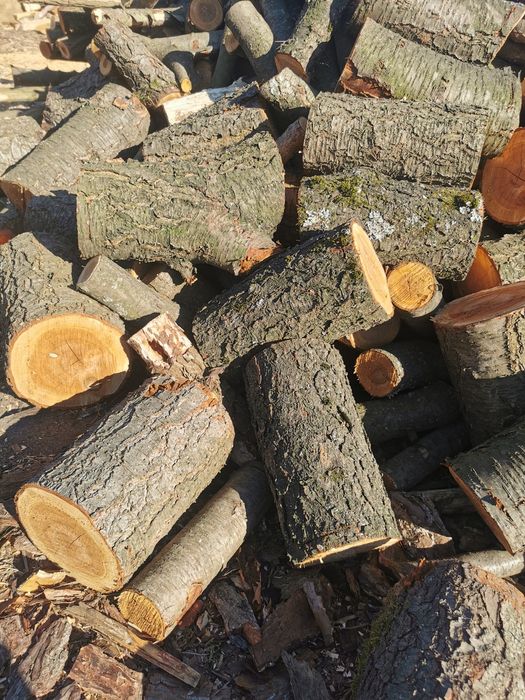 Drzewo opałowe różnego rodzaju