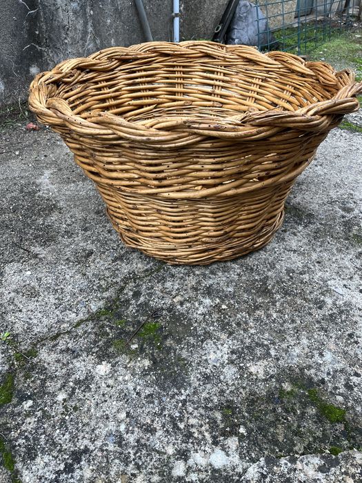 Cesta Verga grande cor clara