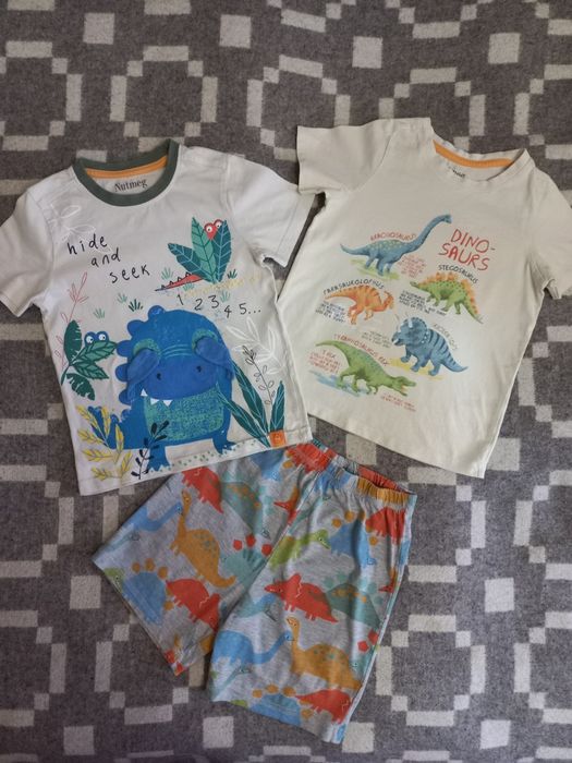 Літній комплект Динозаврики, 4-5 рочків