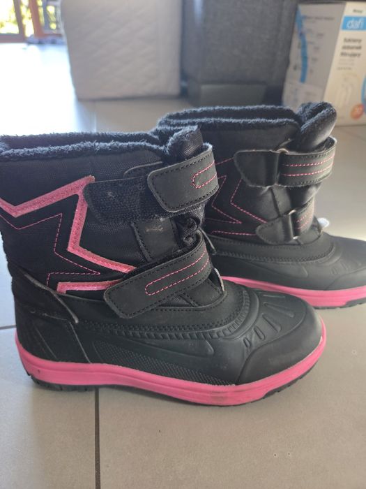 Śniegowce dziewczęce, r. 31