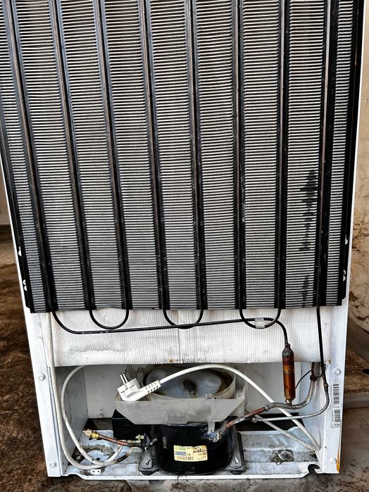 Холодильник Candy