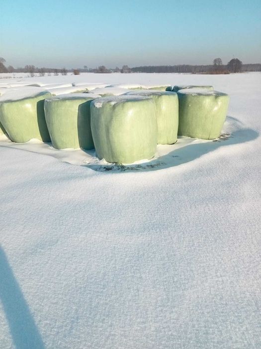 Siano i sianokiszonka