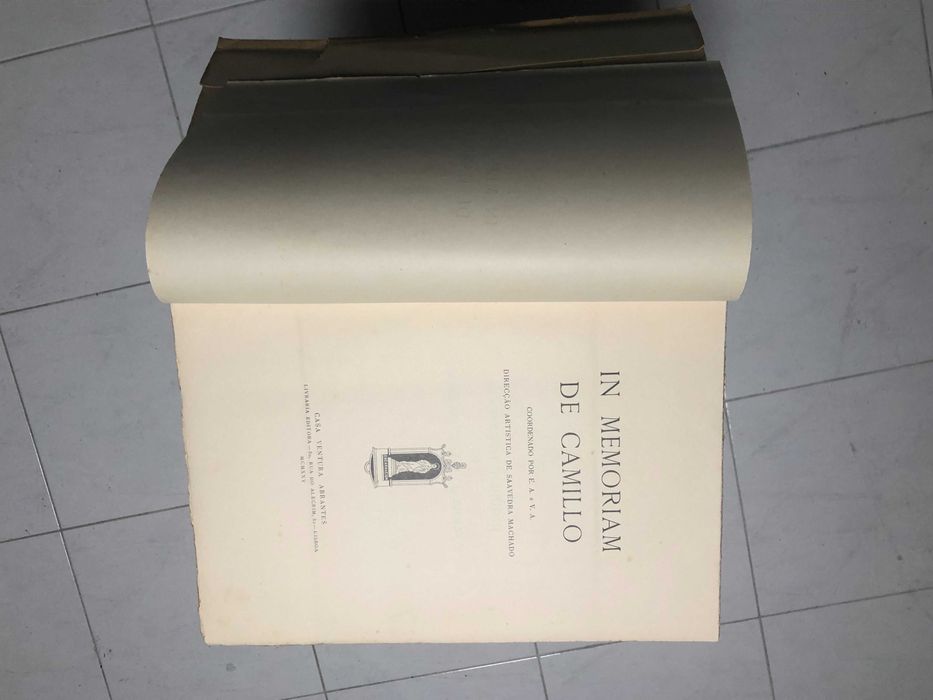 In Memoriam de Camilo