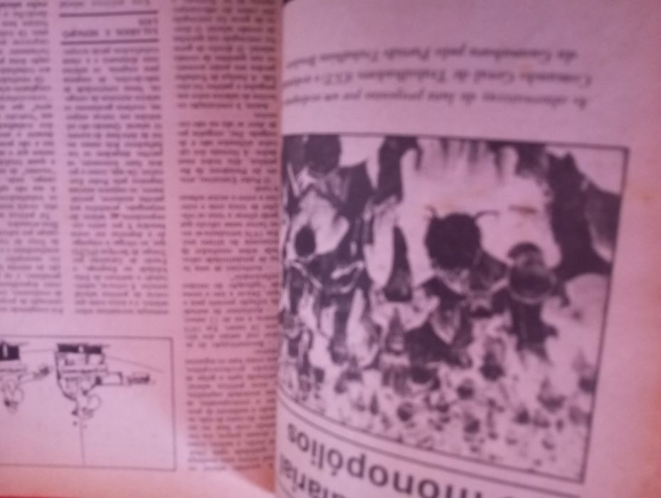 Revista Terceiro Mundo n.º 9 - Guerra no Cone Sul?