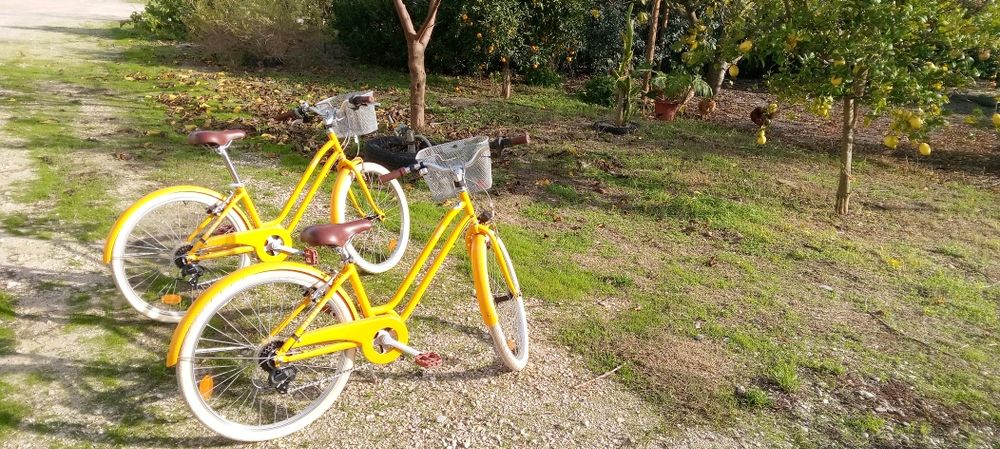 Duas bicicletas em ótimo estado