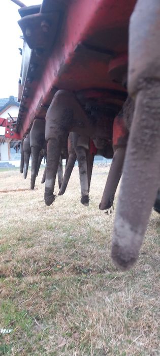 Brona Aktywna Lely witam