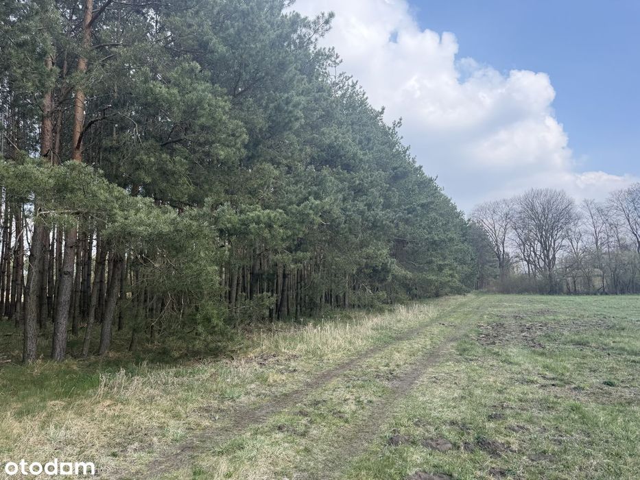 Zjawiskowa działka 1.34ha-możliwość zabudowy. - Więcej
