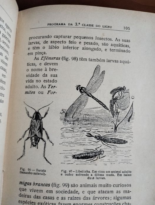 Livro Noções de Zoologia 1934