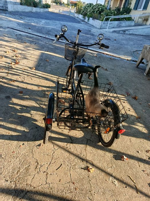 Bicicleta três rodas 20x1,75