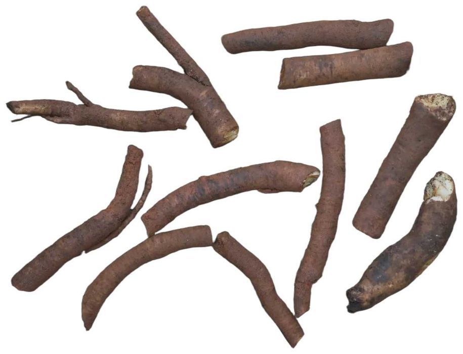 Raízes de Consolda Bocking 14 (Estéril) - O Adubo Natural da Permacultura