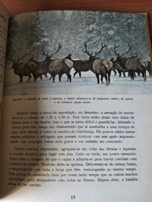 Livro Animais do Far-West