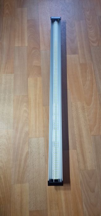 Arcadia Jungle led