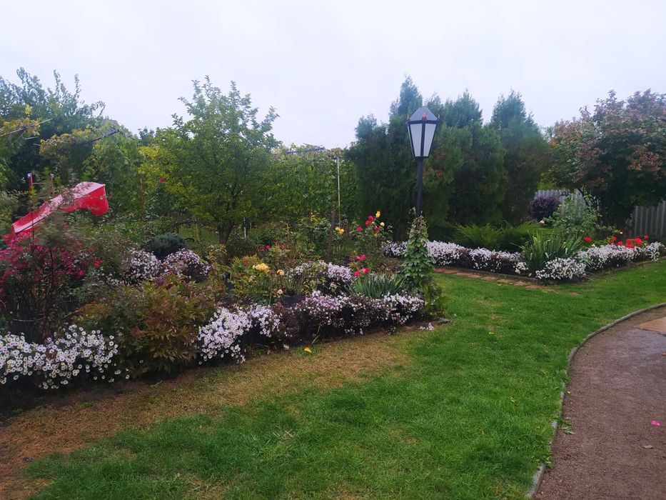 Будинок з земельною ділянкою 21 сотка