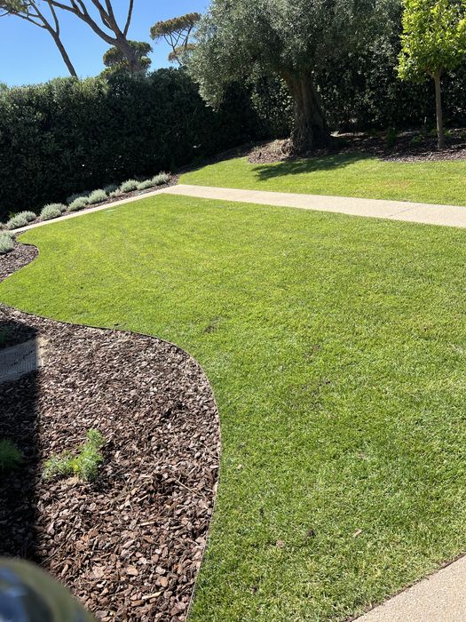 Serviços de jardnagem e entre outros