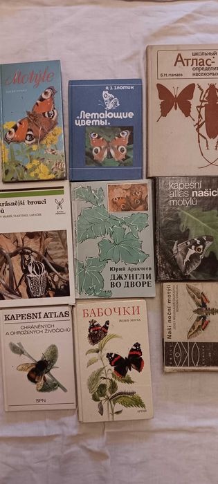 Книги насекомые бабочки редкие
