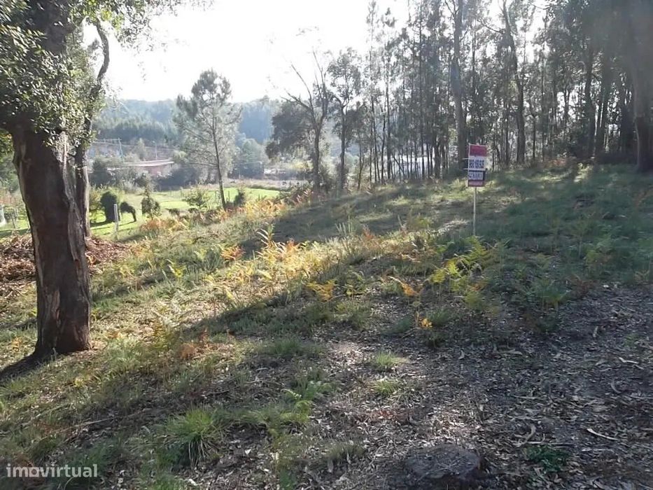 Terreno para construção em Oliveira de Azeméis
