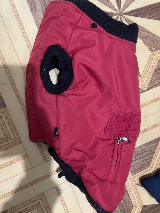 Помпона на собачку