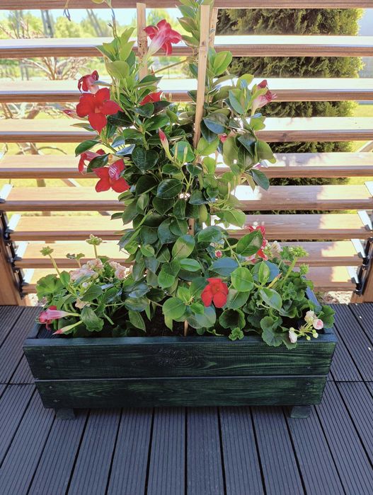 Donica drewniana butelkowa zieleń  22x60