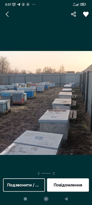 Продам бджолосім'ї УС породи