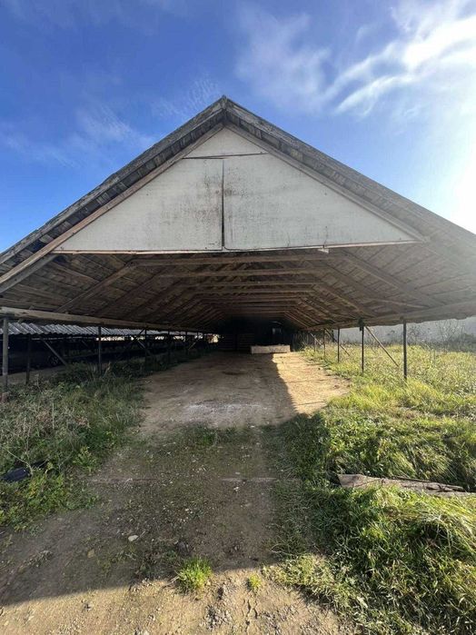 Продаж виробничо-складського приміщення, цегельний завод, с. Горбачі