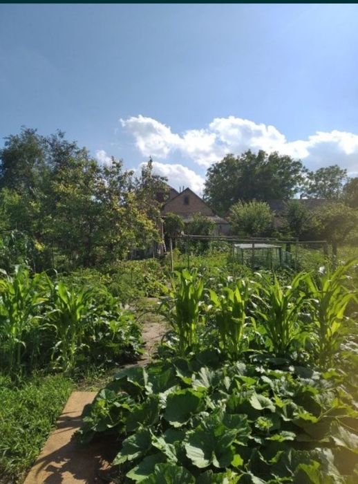 Дом в Пирятині, Полтавська обл