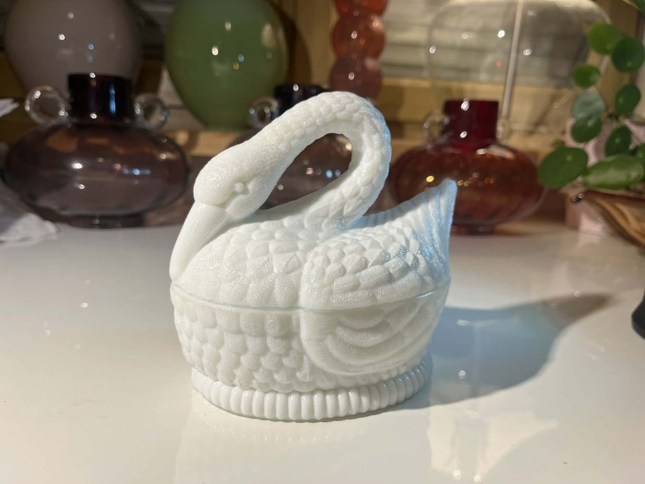 Łabędź ząbkowice latimo