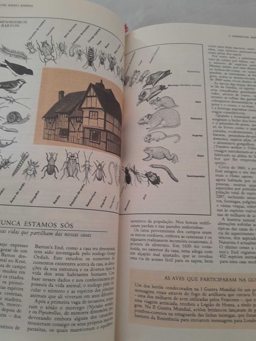 O Grande Livro do Maravilhoso e do Fantástico