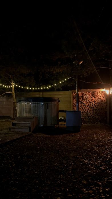 Будинок у сосновому лісі. Чан • Басейн • Генератор