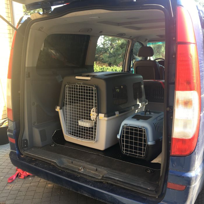 VIP Pet Przewóz transport zwierząt domowych psy koty itp.