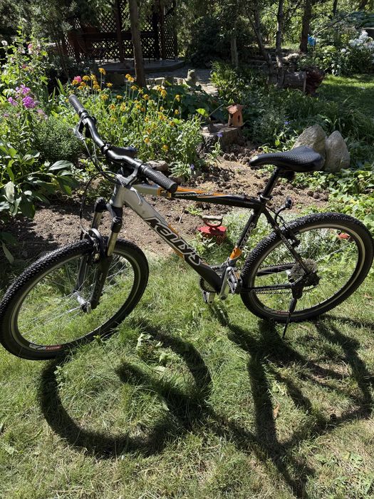 Rower górski MTB Kelly's Salamander