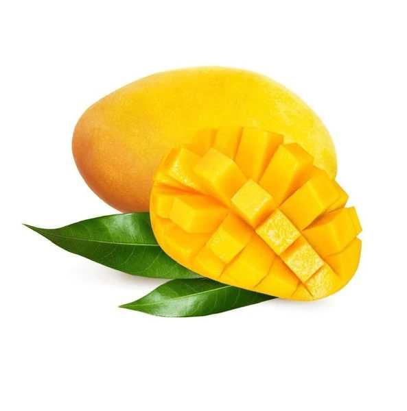 A RAINHA das Mangas (Alphonso) enxertada