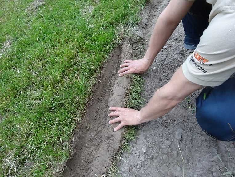 Wypożyczalnia Krawędziarka trawnika Nóż Kosiarka Przycinarka wynajem