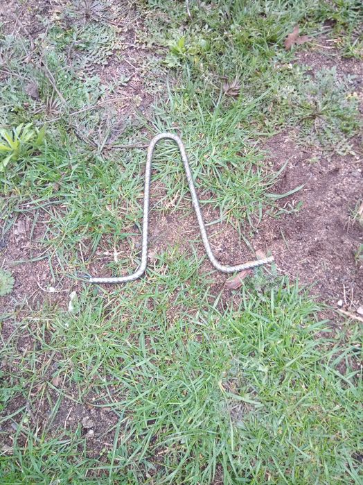 Wieszaki na akermany