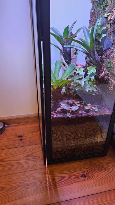 Terrarium tropikalne paludarium bioaktywne