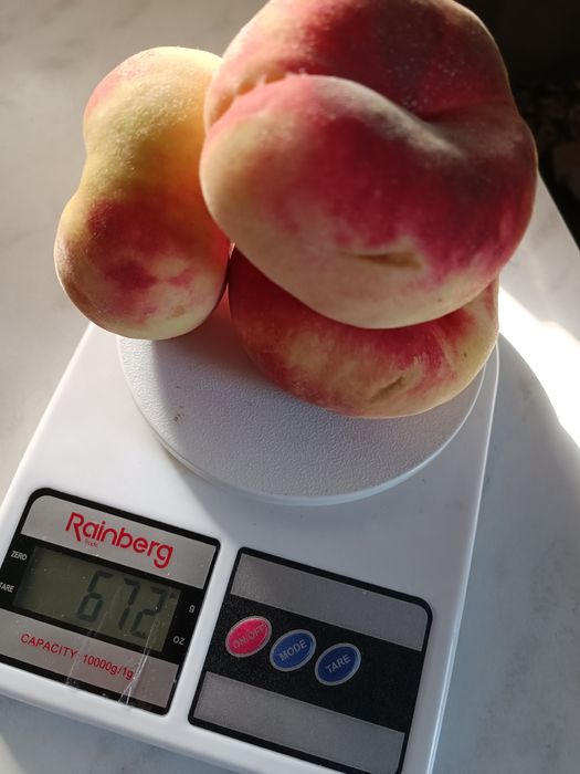 Продам добротний будинок