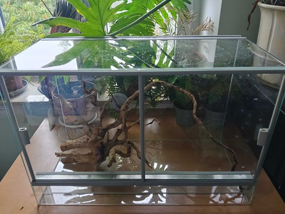 Terrarium 60x30x40
