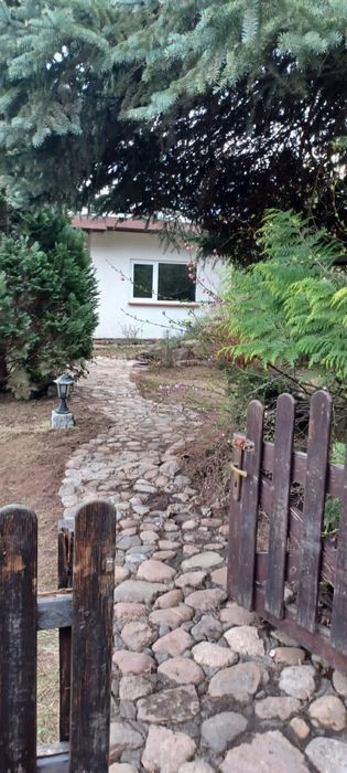Działka ROD Camping z domkiem przy lesie z furtką