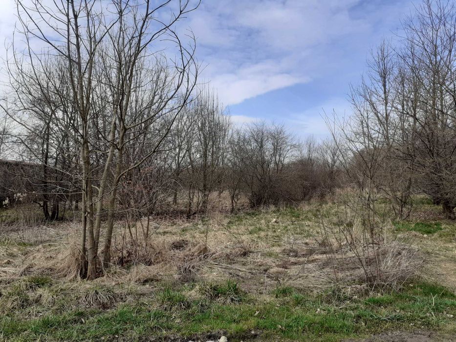 czyszczenie działek mulczer leśny & wgłębny wyrywanie pni koszenie