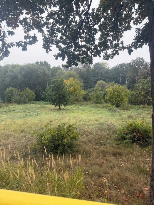 Działka na sprzedaż – Studzieniec, gmina Kożuchów